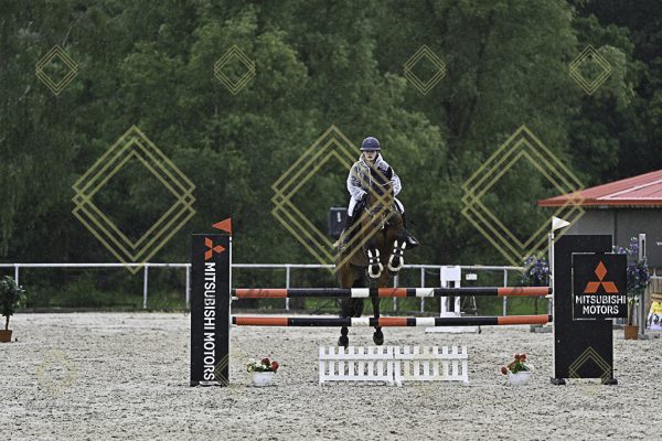 Fränkische Meisterschaft - Prüfung 10, Springpr. Kl. L - Image 101