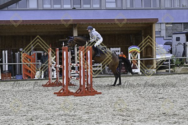 Fränkische Meisterschaft - Prüfung 10, Springpr. Kl. L - Image 103
