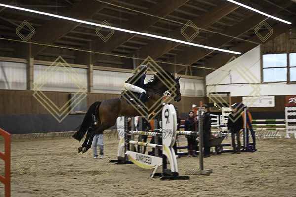 Fränkische Meisterschaft - Prüfung 11, Springpr. Kl. L - Image 76
