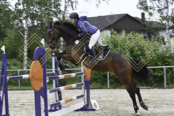 Fränkische Meisterschaft - Prüfung 18, Springpr. Kl. M* - Image 90