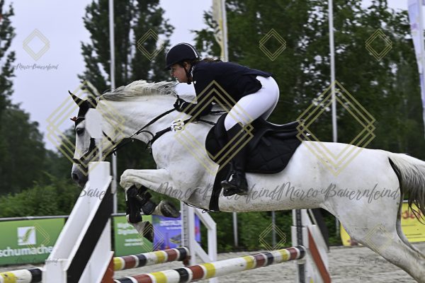 Fränkische Meisterschaft - Prüfung 19, Springpr. Kl. L - Image 86
