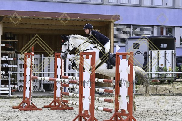 Fränkische Meisterschaft - Prüfung 19, Springpr. Kl. L - Image 87