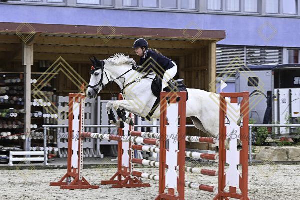 Fränkische Meisterschaft - Prüfung 19, Springpr. Kl. L - Image 88