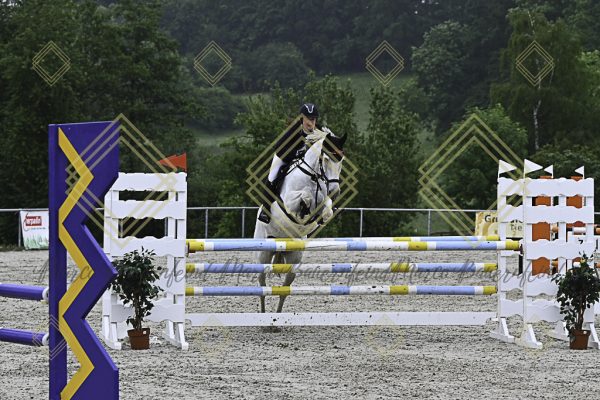 Fränkische Meisterschaft - Prüfung 19, Springpr. Kl. L - Image 89