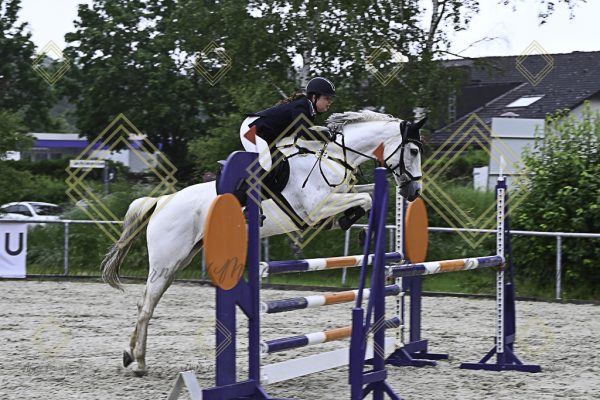 Fränkische Meisterschaft - Prüfung 19, Springpr. Kl. L - Image 90