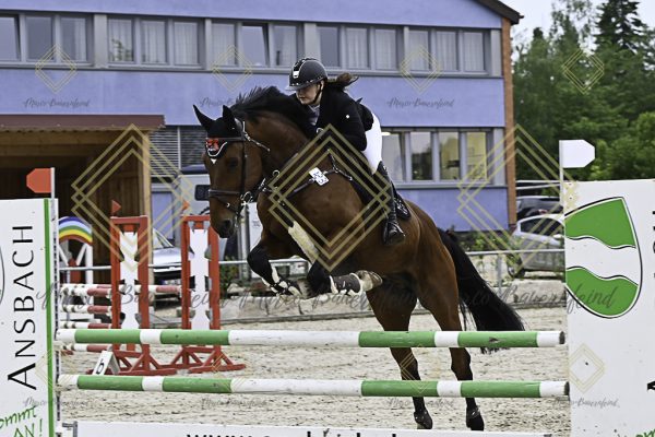 Fränkische Meisterschaft - Prüfung 20, Springpr.Kl.A** - Image 52