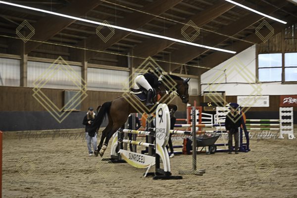 Fränkische Meisterschaft - Prüfung 11, Springpr. Kl. L - Image 79