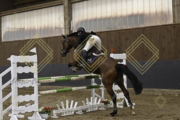Fränkische Meisterschaft - Prüfung 12, Springpr. Kl. L - Image 115