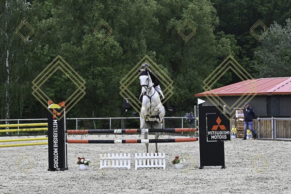 Fränkische Meisterschaft - Prüfung 19, Springpr. Kl. L - Image 91