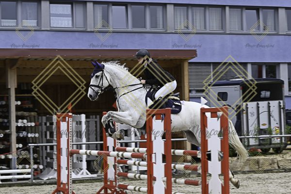 Fränkische Meisterschaft - Prüfung 19, Springpr. Kl. L - Image 93