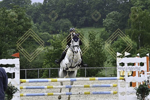 Fränkische Meisterschaft - Prüfung 19, Springpr. Kl. L - Image 94