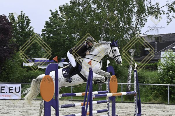 Fränkische Meisterschaft - Prüfung 19, Springpr. Kl. L - Image 95