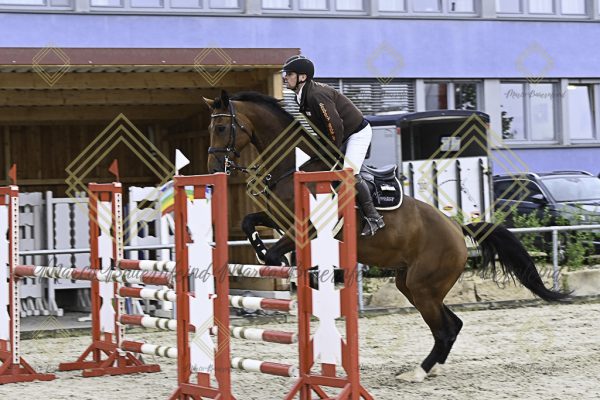 Fränkische Meisterschaft - Prüfung 19, Springpr. Kl. L - Image 99