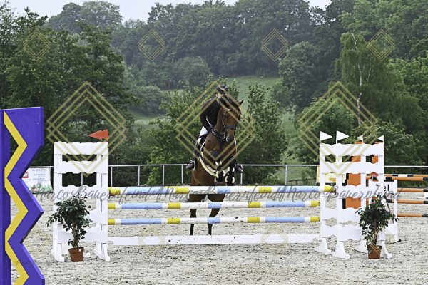 Fränkische Meisterschaft - Prüfung 19, Springpr. Kl. L - Image 102