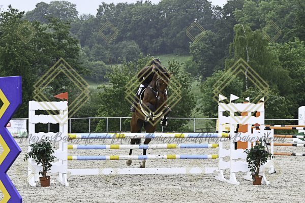 Fränkische Meisterschaft - Prüfung 19, Springpr. Kl. L - Image 103