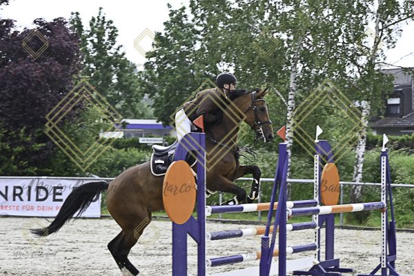 Fränkische Meisterschaft - Prüfung 19, Springpr. Kl. L - Image 104