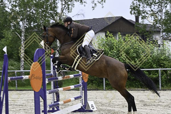 Fränkische Meisterschaft - Prüfung 18, Springpr. Kl. M* - Image 96