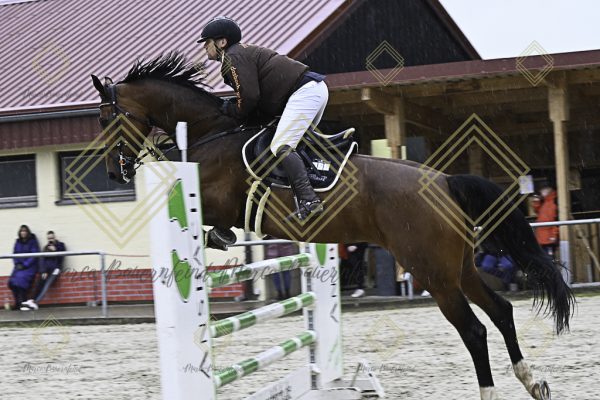 Fränkische Meisterschaft - Prüfung 18, Springpr. Kl. M* - Image 97