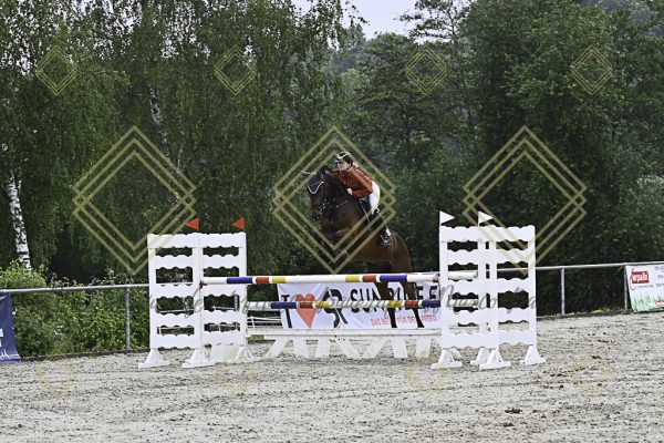 Fränkische Meisterschaft - Prüfung 18, Springpr. Kl. M* - Image 100