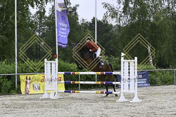Fränkische Meisterschaft - Prüfung 18, Springpr. Kl. M* - Image 101