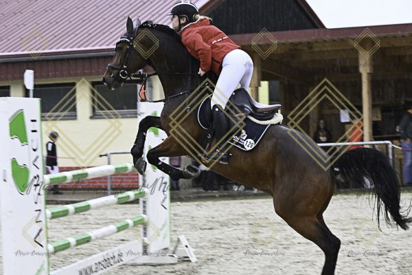 Fränkische Meisterschaft - Prüfung 18, Springpr. Kl. M* - Image 103