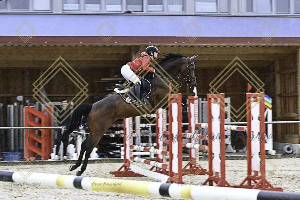 Fränkische Meisterschaft - Prüfung 18, Springpr. Kl. M* - Image 104