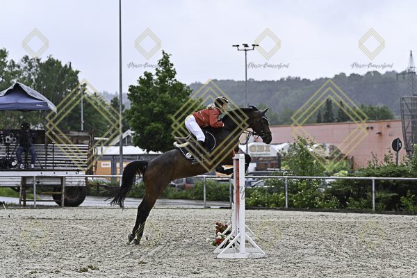 Fränkische Meisterschaft - Prüfung 4, Springpr. Kl. M* - Image 45