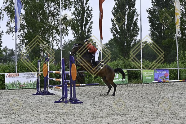 Fränkische Meisterschaft - Prüfung 4, Springpr. Kl. M* - Image 47