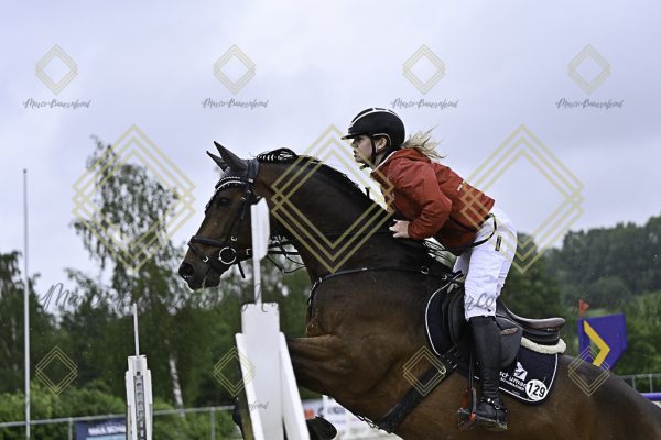 Fränkische Meisterschaft - Prüfung 4, Springpr. Kl. M* - Image 48