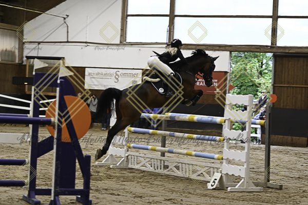 Fränkische Meisterschaft - Prüfung 5, Springpr. Kl. M** - Image 39