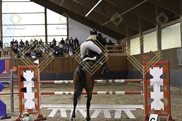 Fränkische Meisterschaft - Prüfung 6, Springpr. Kl. M** - Image 37