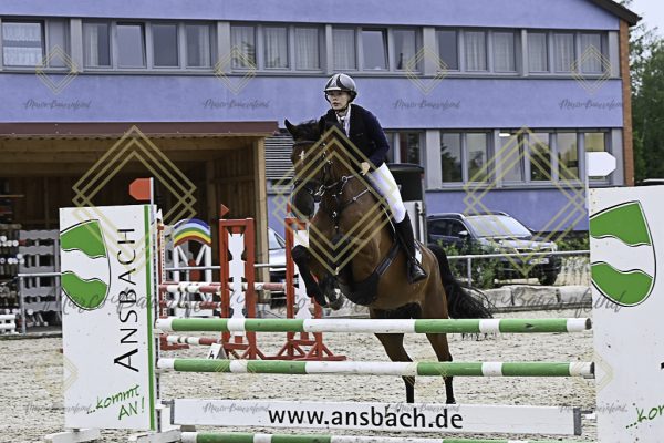 Fränkische Meisterschaft - Prüfung 20, Springpr.Kl.A** - Image 58
