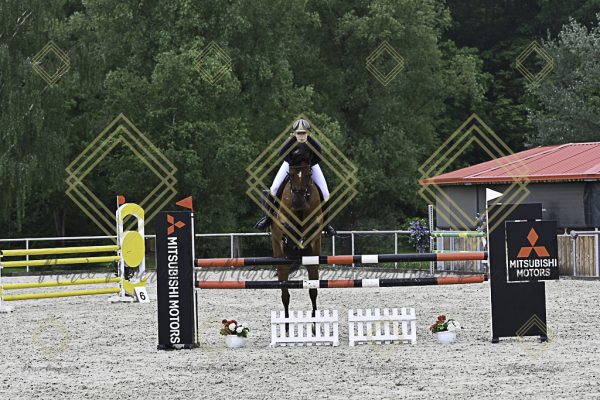 Fränkische Meisterschaft - Prüfung 19, Springpr. Kl. L - Image 105