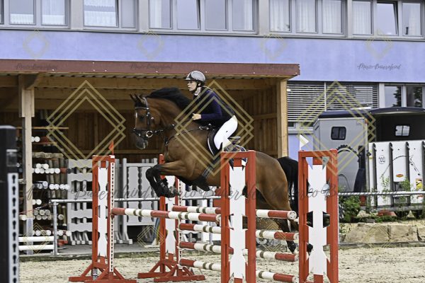 Fränkische Meisterschaft - Prüfung 19, Springpr. Kl. L - Image 107