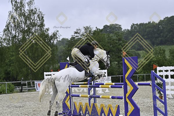Fränkische Meisterschaft - Prüfung 4, Springpr. Kl. M* - Image 51