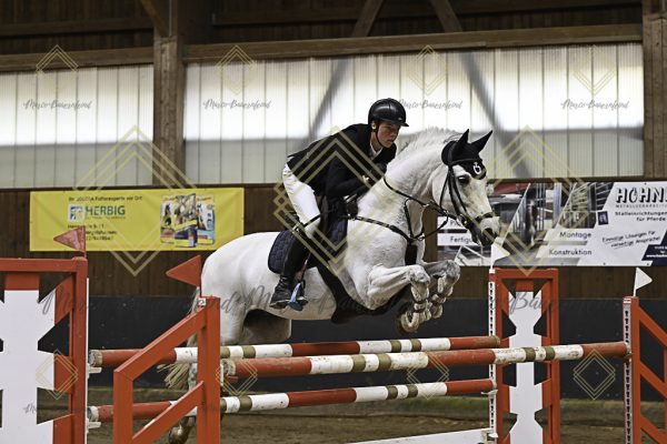 Fränkische Meisterschaft - Prüfung 6, Springpr. Kl. M** - Image 42