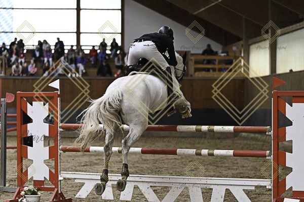 Fränkische Meisterschaft - Prüfung 6, Springpr. Kl. M** - Image 43