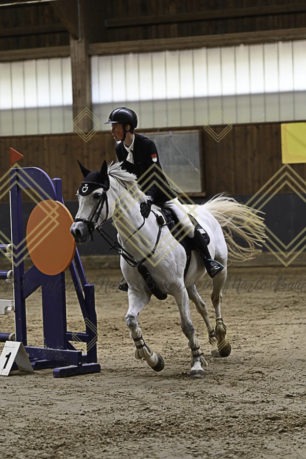 Fränkische Meisterschaft - Prüfung 6, Springpr. Kl. M** - Image 47
