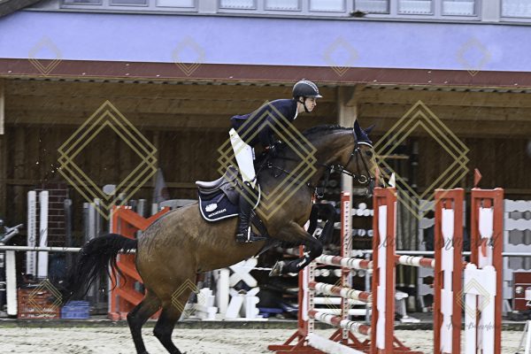 Fränkische Meisterschaft - Prüfung 7, Springpr. Kl. L - Image 72