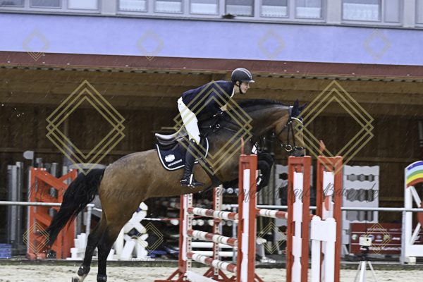 Fränkische Meisterschaft - Prüfung 7, Springpr. Kl. L - Image 73