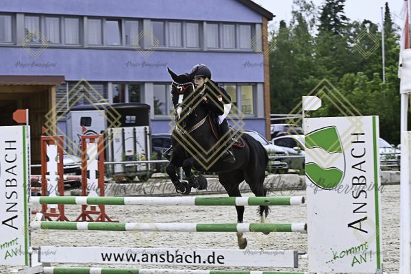 Fränkische Meisterschaft - Prüfung 20, Springpr.Kl.A** - Image 63