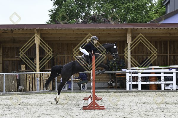 Fränkische Meisterschaft - Prüfung 20, Springpr.Kl.A** - Image 65