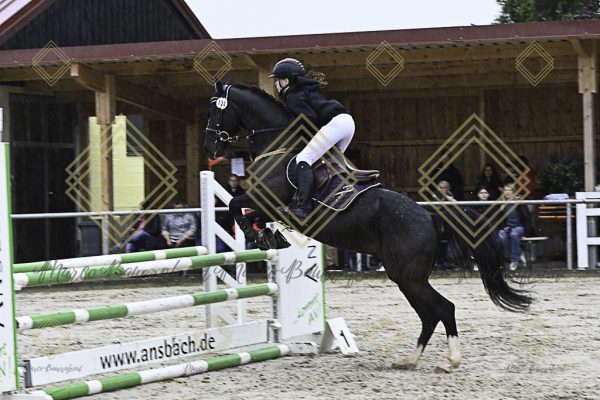 Fränkische Meisterschaft - Prüfung 13, Springpr. Kl. A** - Image 24
