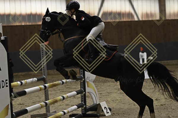 Fränkische Meisterschaft - Prüfung 21, Ponystilpr. Kl. A** m.St. - Image 21
