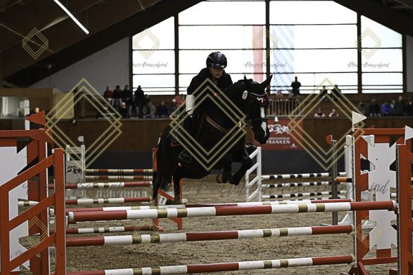 Fränkische Meisterschaft - Prüfung 21, Ponystilpr. Kl. A** m.St. - Image 22
