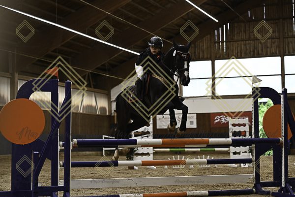 Fränkische Meisterschaft - Prüfung 21, Ponystilpr. Kl. A** m.St. - Image 23