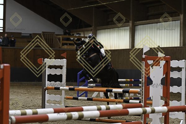 Fränkische Meisterschaft - Prüfung 21, Ponystilpr. Kl. A** m.St. - Image 24
