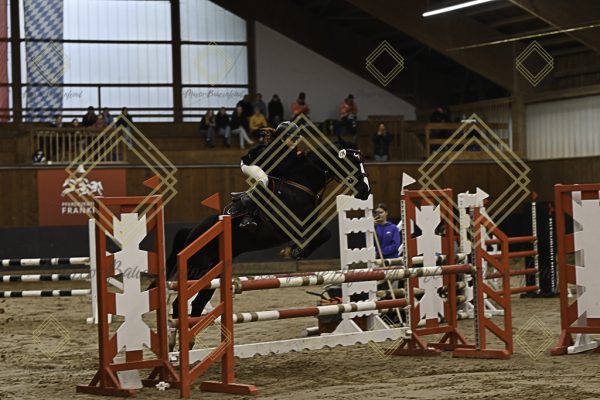 Fränkische Meisterschaft - Prüfung 14, Ponystilpr. Kl. A** - Image 9