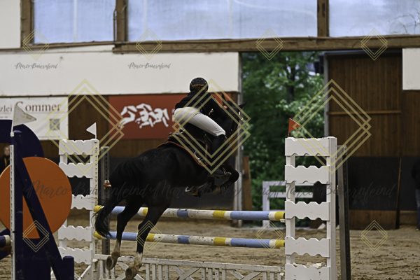 Fränkische Meisterschaft - Prüfung 14, Ponystilpr. Kl. A** - Image 10