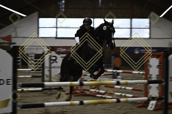Fränkische Meisterschaft - Prüfung 15, Ponystilpr. Kl. L - Image 12